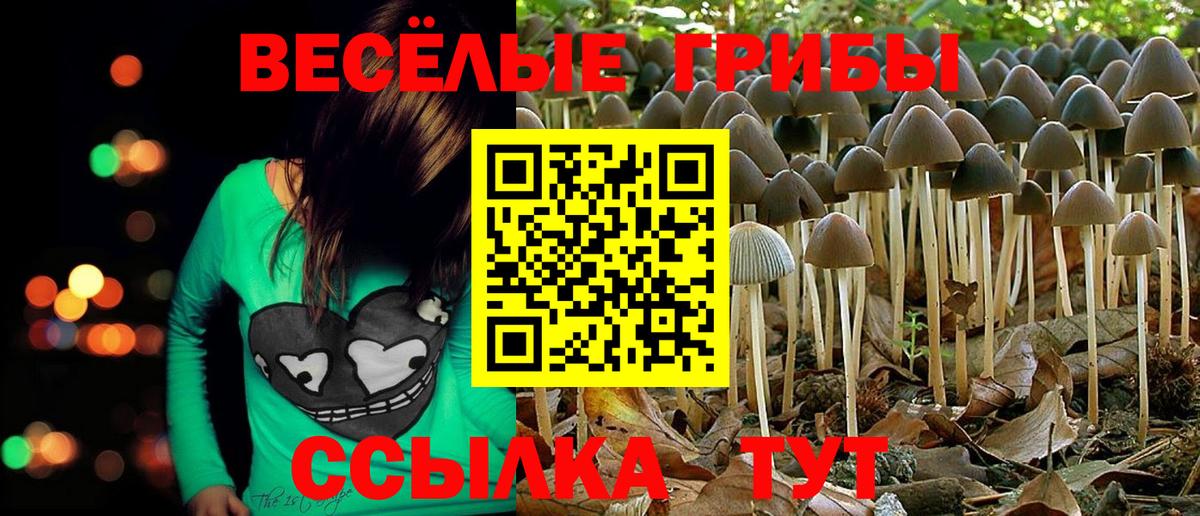 Галлюциногенные грибы Magic Shrooms Воскресенск