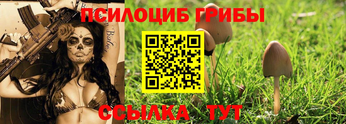 Воскресенск  Псилоцибиновые грибы ЛСД  Вход с VPN  Псилоцибиновые грибы прущие грибы 